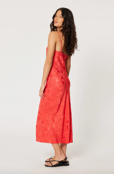 Rolla’s Georgie Slip Jacquard - Cherry